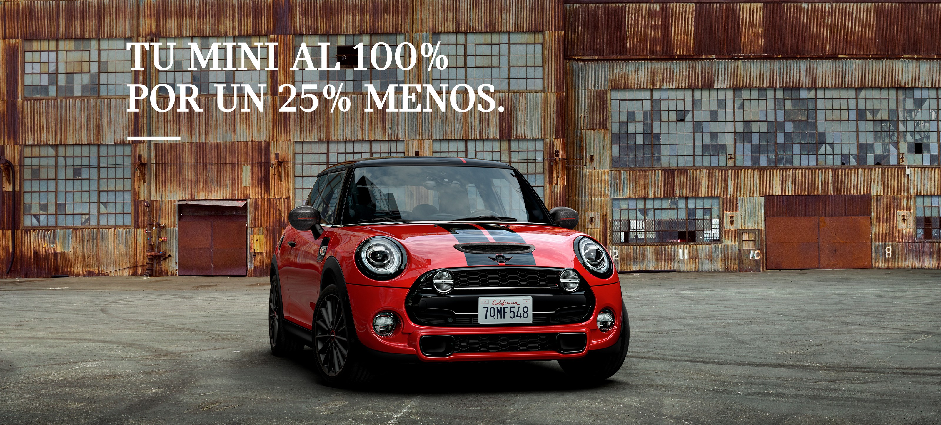 neumatico MINI